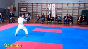 На соревнования по карате делает, Heian Godan. Gankaku. Myojo .