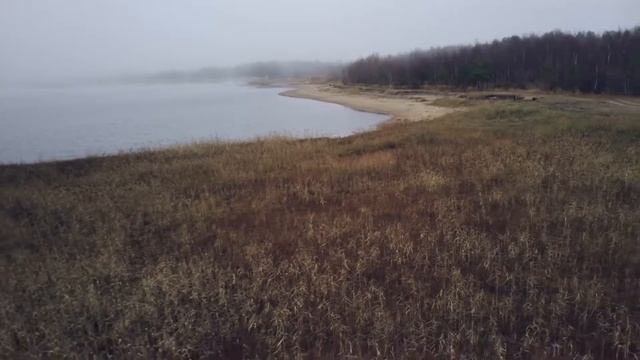 Австралийская овчарка у залива Белого моря [Australian Shepherd] смотреть онлайн