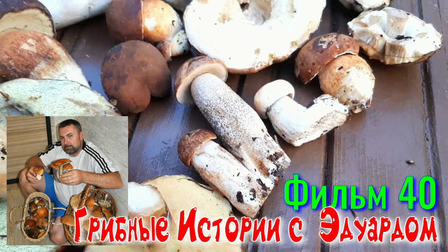 Грибные Истории с Эдуардом. Фильм 40. На разведку после ДОЖДЕЙ. смотреть онлайн