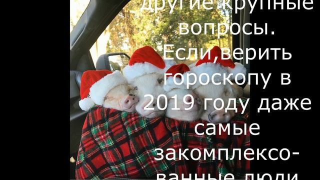 Гороскоп на 2019 год / Год Жёлтой Земляной Свиньи смотреть онлайн