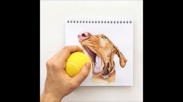 Реалистичные рисунки животных, смотреть видео бесплатно смотреть онлайн