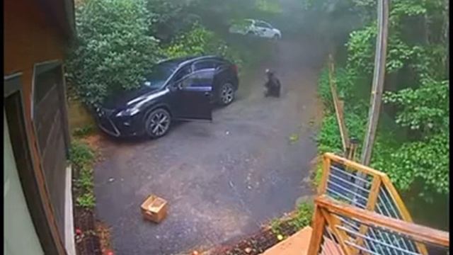 автовор смотреть онлайн