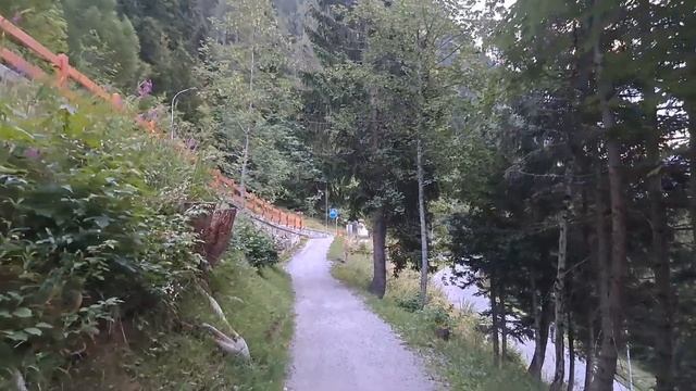 Можно ли заключить мир между Израилем и Палестиной? #израиль #палестина #хамас смотреть онлайн