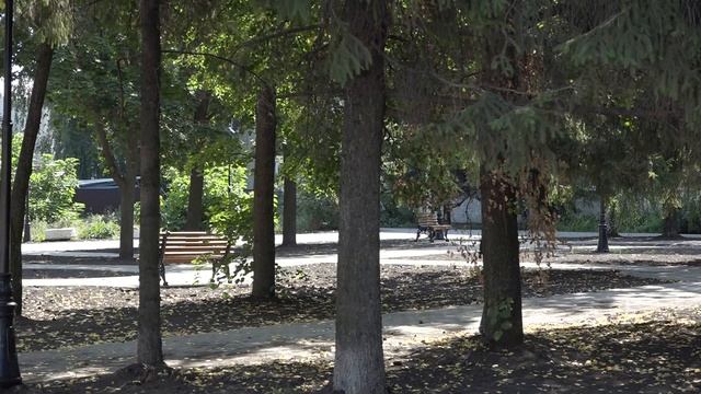 Благоустройство сквера Чернобыльцев. Август 2021 год. смотреть онлайн