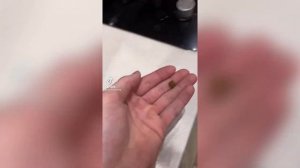 Смешная Озвучка | Злой Пёс