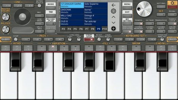 Korg pa4x pc. Yanıq kerem