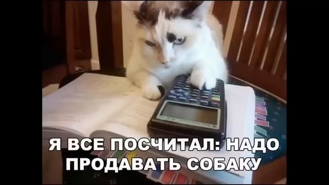 10 000 Лютых МЕМОВ. МЕГАПОДБОРКА МЕМОВ с канала МАКСА МАКСИМОВА смотреть онлайн