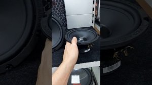 Новые мидбасы FSD Master FSD WF6 и WF8!