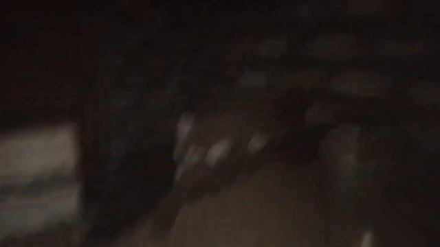 Крысиная тусня смотреть онлайн