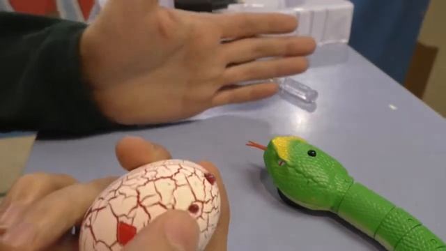 Запускаем змею ZYC-1005 на ИК пульте смотреть онлайн