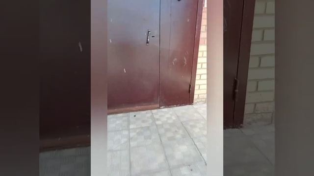 Домофоны CYFRAL и датчики CYFRAL. Домофоны CYFRAL CCD 2094 смотреть онлайн