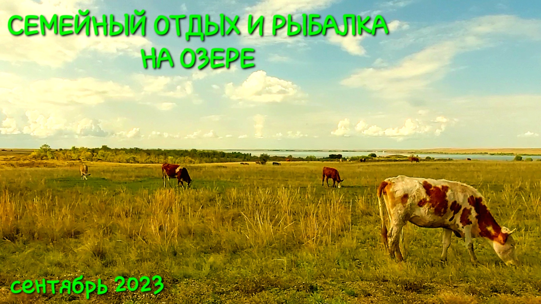 Семейный отдых и рыбалка на озере 2023 Сентябрь смотреть онлайн