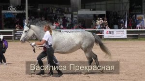 ОРЛОВСКИЕ РЫСАКИ Приз зрительских симпатий #ИППОсфера 2022