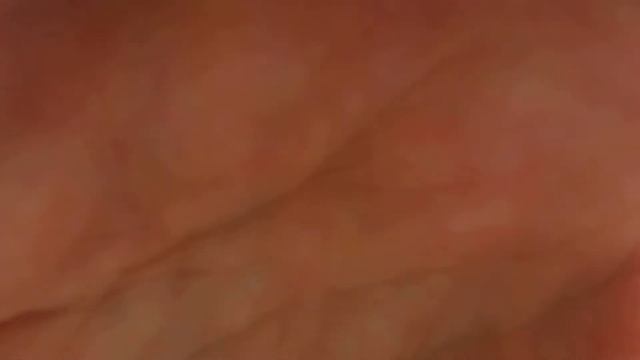 me palm cu hainan beach смотреть онлайн