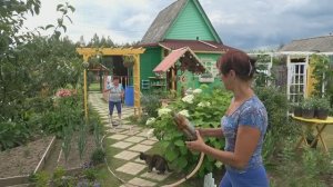 6 соток 23 июля 2023 года. Хроника.