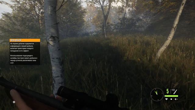 theHunter: Call of the Wild/ Быть охотником и тупицей одновременно...СЛОЖНО #1 смотреть онлайн