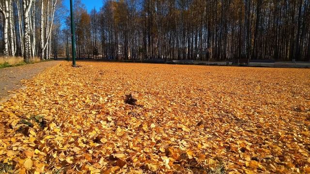 Л Татьяничева Сентябрь опять сгущает краски #поэты20века #стихиобосени смотреть онлайн