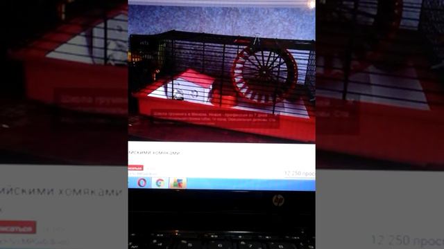 рублика сам . луч . заводчик хомяка 1 смотреть онлайн