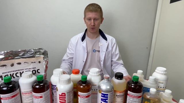 Самое ЛУЧШЕЕ СРЕДСТВО от клопов!