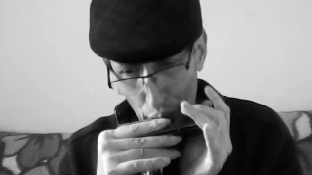 Mon mec à moi - harmonica chromatique Swan смотреть онлайн