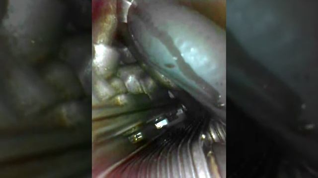 Гонки и приключения