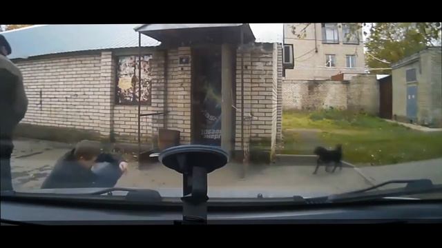 ПРИКОЛЫ С ЖИВОТНЫМИ\ЖИВОТНЫЕ И ЛЮДИ\ПРИКОЛЫ\FUN WITH ANIMALS \ ANIMALS AND PEOPLE \ FUN смотреть онлайн