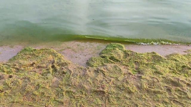 Весь день с нами в Витязево 🏖🎠😍 смотреть онлайн