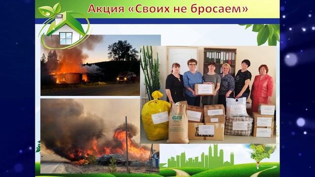 Практика Планете жизнь смотреть онлайн