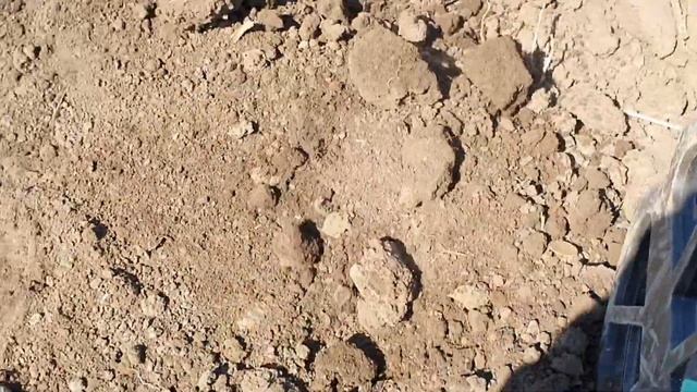 Реальный обзор NOKTA Anfibio Multi от Черкасского копателя!