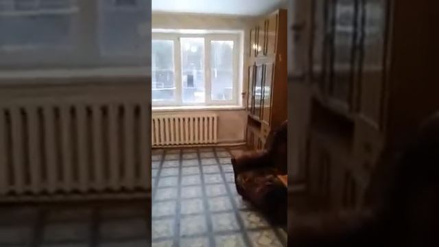 1 комнатная квартира Станция Изумруд, д. 6 смотреть онлайн