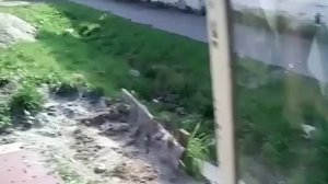 Настройка ГБО своими руками своими руками