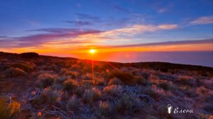 В гармонии с Миром мне нравится жить   *