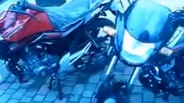 Viper 200, Pantera, Viper MX200 обзор сравнивание