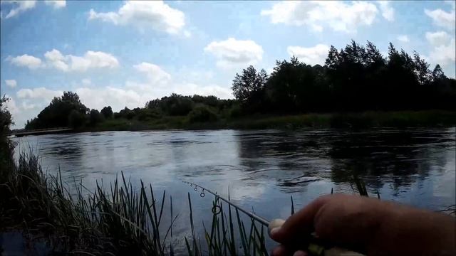 Ловля голавля на проводку "петля" смотреть онлайн