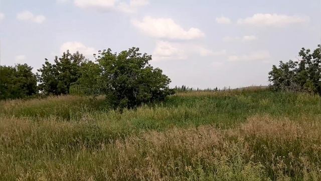 Еду на разведку