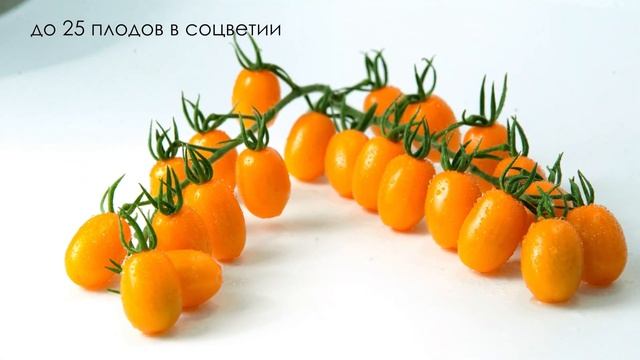 F1 КЭНДИ смотреть онлайн