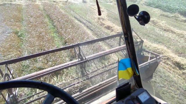 Збираємо яру пшеницю.нива ск 5. смотреть онлайн