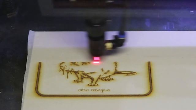 Making Stuff Laser engraved Rattus Norvegicus Illustration sign смотреть онлайн