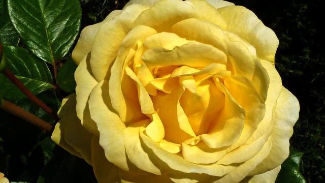 Радуга лучших русских клипов и фото 2015 года смотреть онлайн