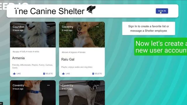 the canine shelter react node js app смотреть онлайн