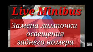 Toyota Voxy. Замена лампочек освещения заднего номера.
