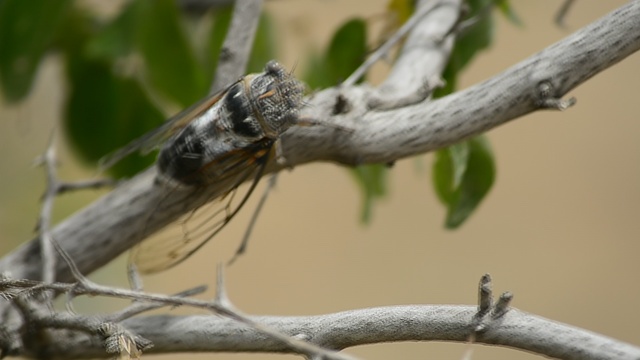 DSC_0071 смотреть онлайн