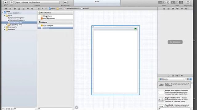 Big Nerd Ranch Chapter 1 with Xcode 4.2 смотреть онлайн