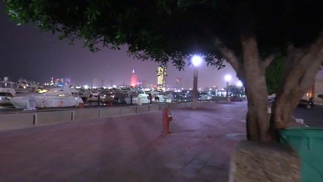 Canon XA11 | Night Time Video Test | Auto Mode And Infrared