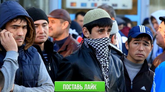 СРОЧНО! 1 ДЕКАБРЯ МИГРАНТЫ В РОССИИ ПАТЕНТ НОВЫЙ УКАЗ ДЛЯ УЗБЕКОВ ТАДЖИКОВ ИНОСТРАННЫХ ГРАЖДАН СНГ! смотреть онлайн