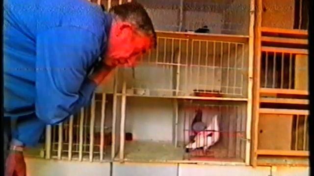 Карел Мюлеманс,Бельгия,1996г.. смотреть онлайн