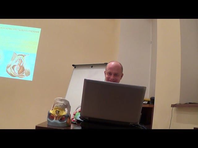 Семинар Краниосакральная терапия 3 ЧЕРЕПНО-МОЗГОВЫЕ НЕРВЫ КСТ3_56 смотреть онлайн