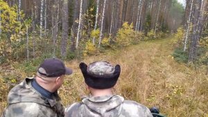 Вездеход Хома и Каракат переломка.