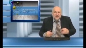 Всё кругом вранье!