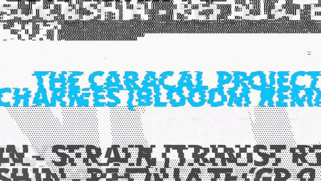 The Caracal Project - Charmes (Blooom Remix)